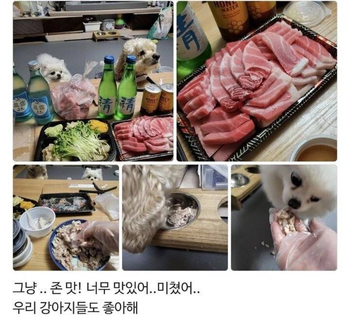 어떤 참치 가게 사장님의 마케팅.JPG | 인스티즈