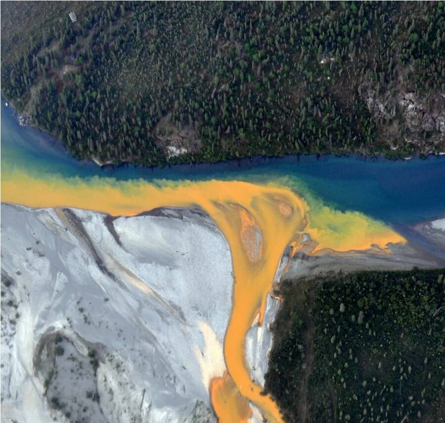 알래스카 강물 최신 근황 | 인스티즈