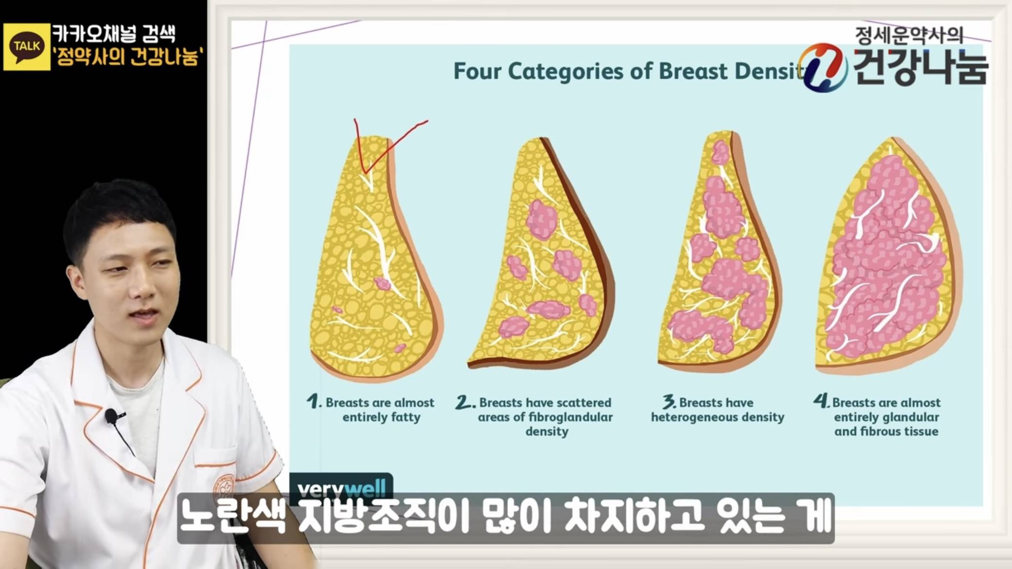 가슴 커지는 영양제에 대한 약사 의견 | 인스티즈