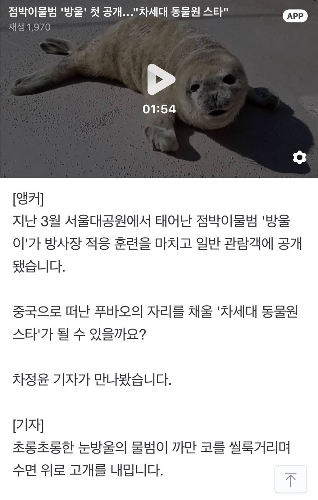 점박이물범 '방울' 첫 공개..."차세대 동물원 스타" | 인스티즈