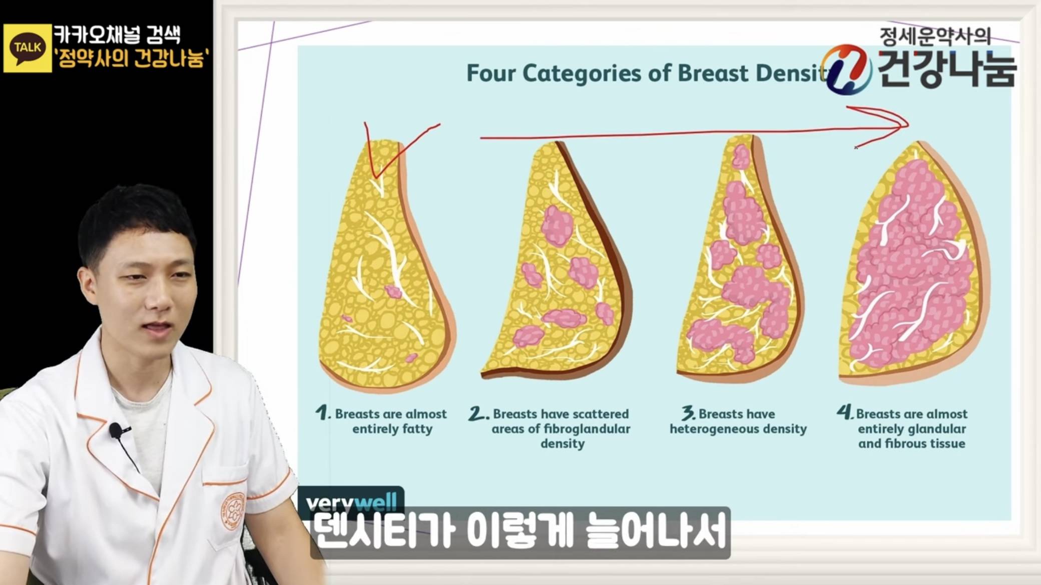 가슴 커지는 영양제에 대한 약사 의견 | 인스티즈