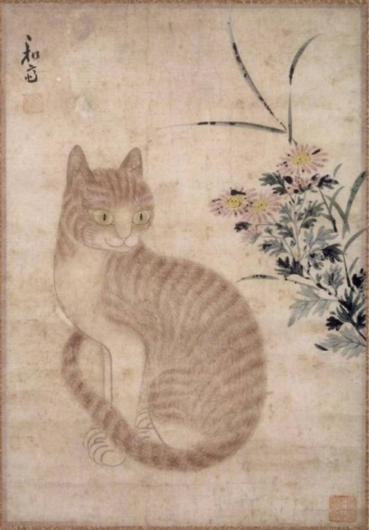 조선시대 고양이 털색에 따라 불렀던 명칭들 | 인스티즈