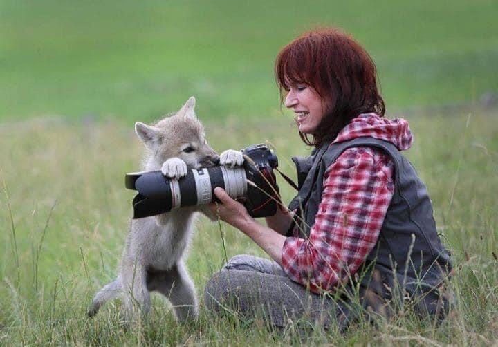 사진작가들이 신기한 동물들 | 인스티즈