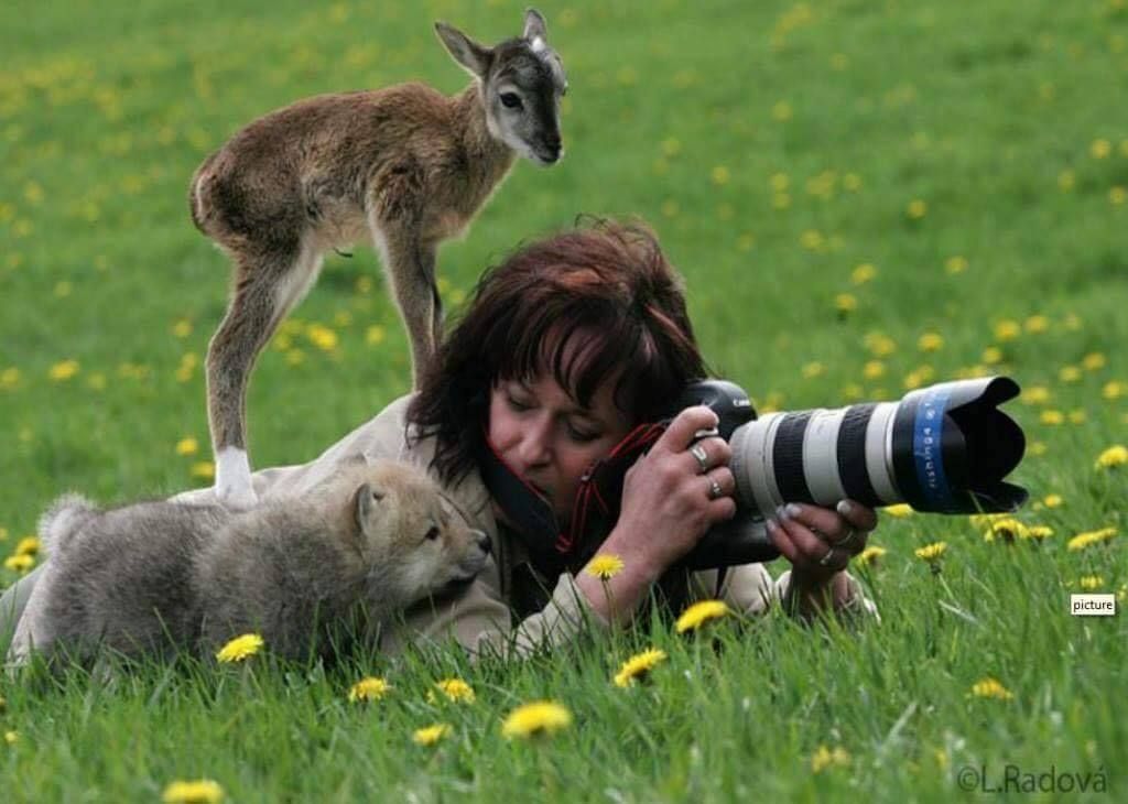 야생동물 찍는 사진 작가들이 흔히 겪는 일..JPG | 인스티즈