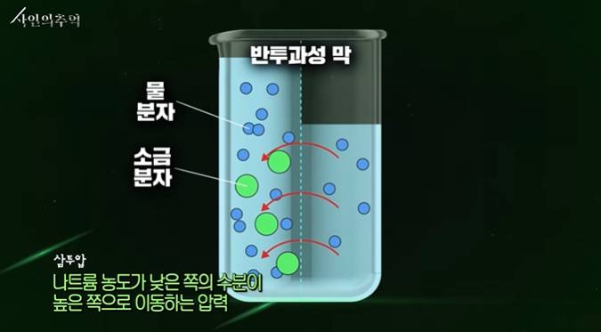 법의학자가 생각하는 이소룡의 사망 원인 | 인스티즈