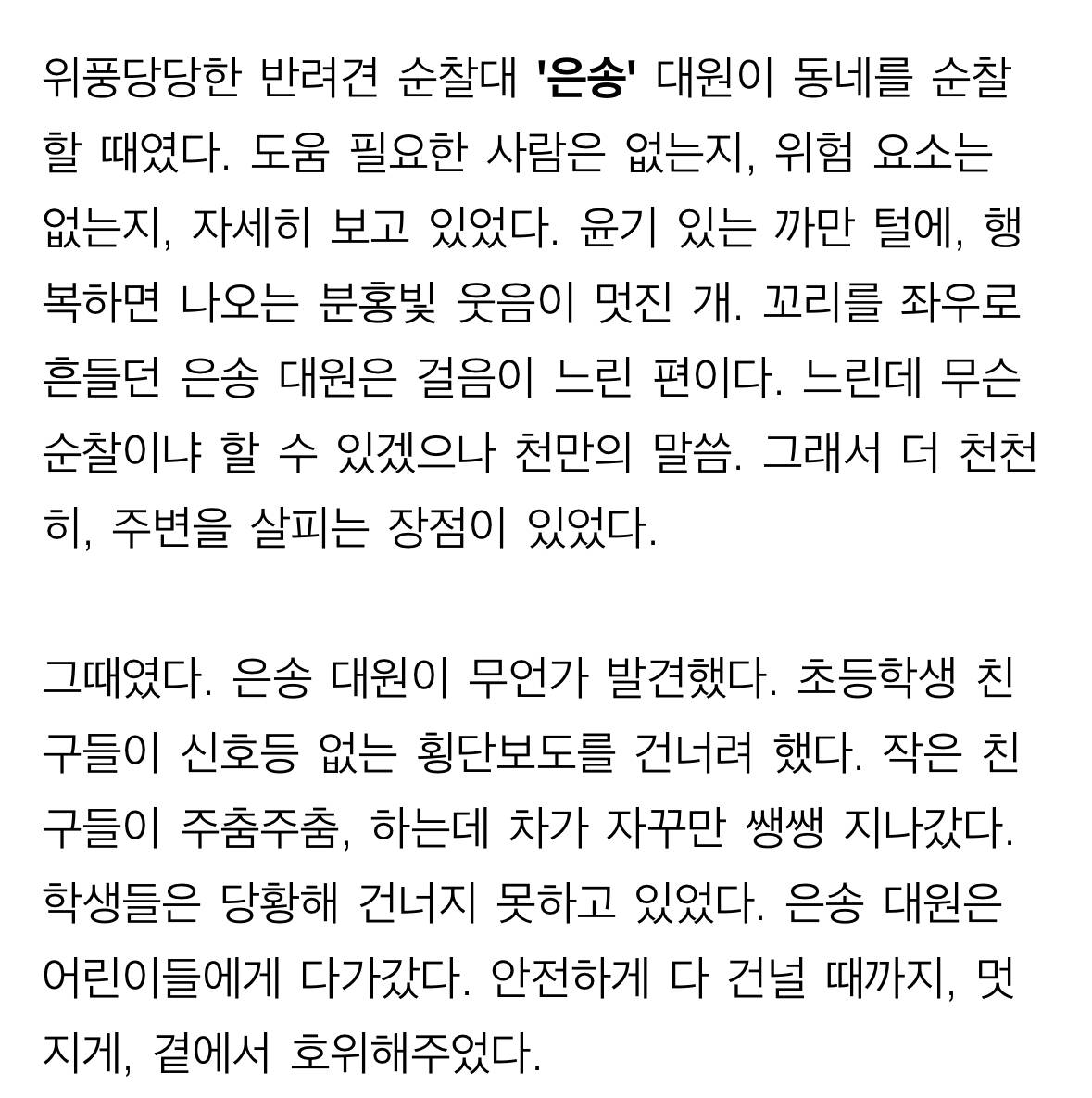 처음엔 비웃음 샀던 반려견 순찰대 한밤중 '강아지'가 잡아끈 곳에…사람이 쓰러져 있었다 | 인스티즈