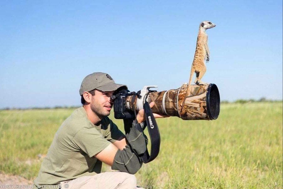 야생동물 찍는 사진 작가들이 흔히 겪는 일..JPG | 인스티즈
