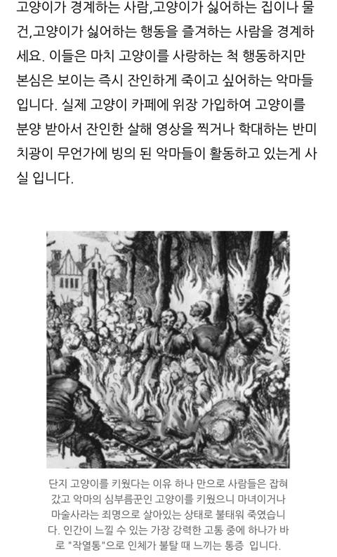 귀신이 가장 싫어하는 고양이 | 인스티즈