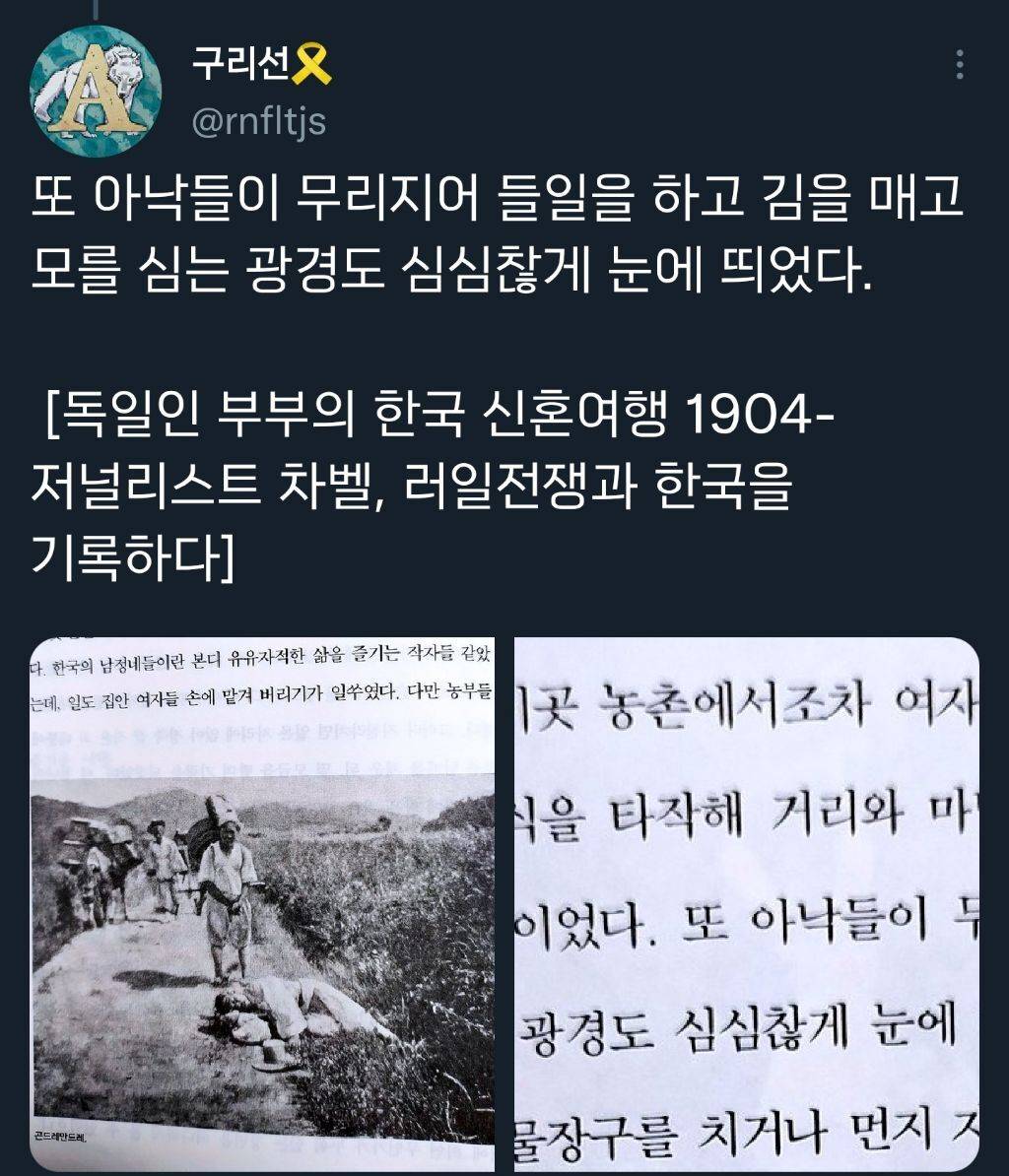 19세기 서양사람들이 한국에서 보았던 것.twt | 인스티즈
