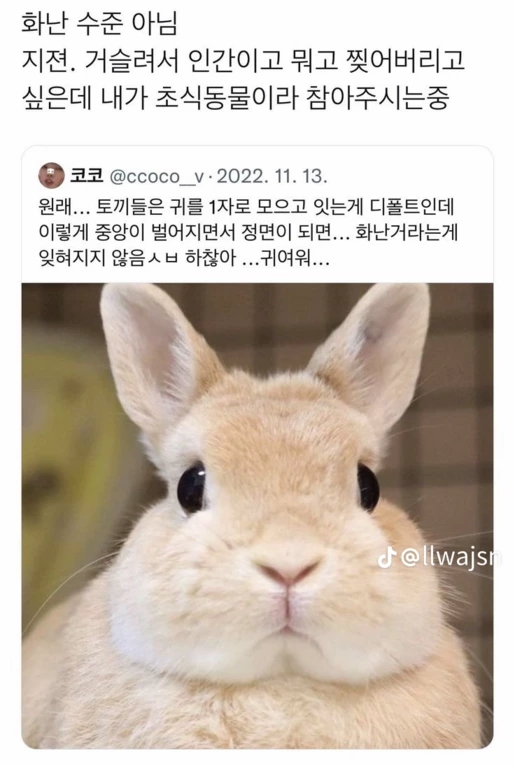 아니 엘베에서 누가 내 어깨위에 바들거리는 막대기 얹는 느낌나길래 뒤도니까..jpg | 인스티즈