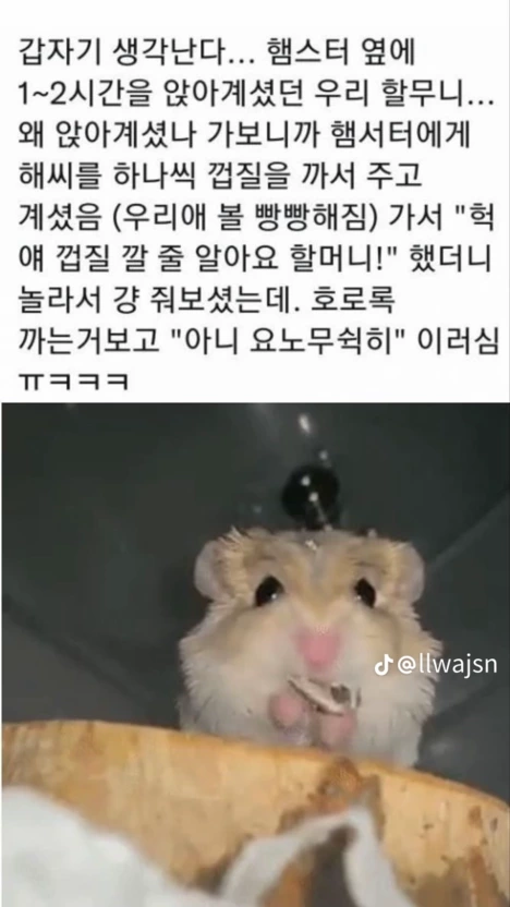 아니 엘베에서 누가 내 어깨위에 바들거리는 막대기 얹는 느낌나길래 뒤도니까..jpg | 인스티즈