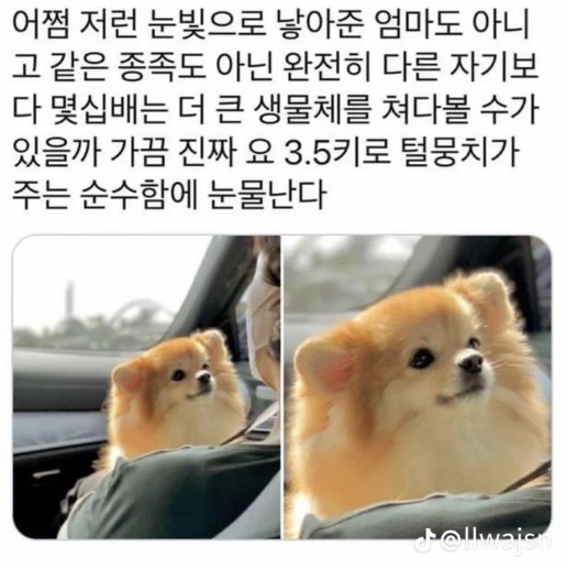 아니 엘베에서 누가 내 어깨위에 바들거리는 막대기 얹는 느낌나길래 뒤도니까..jpg | 인스티즈