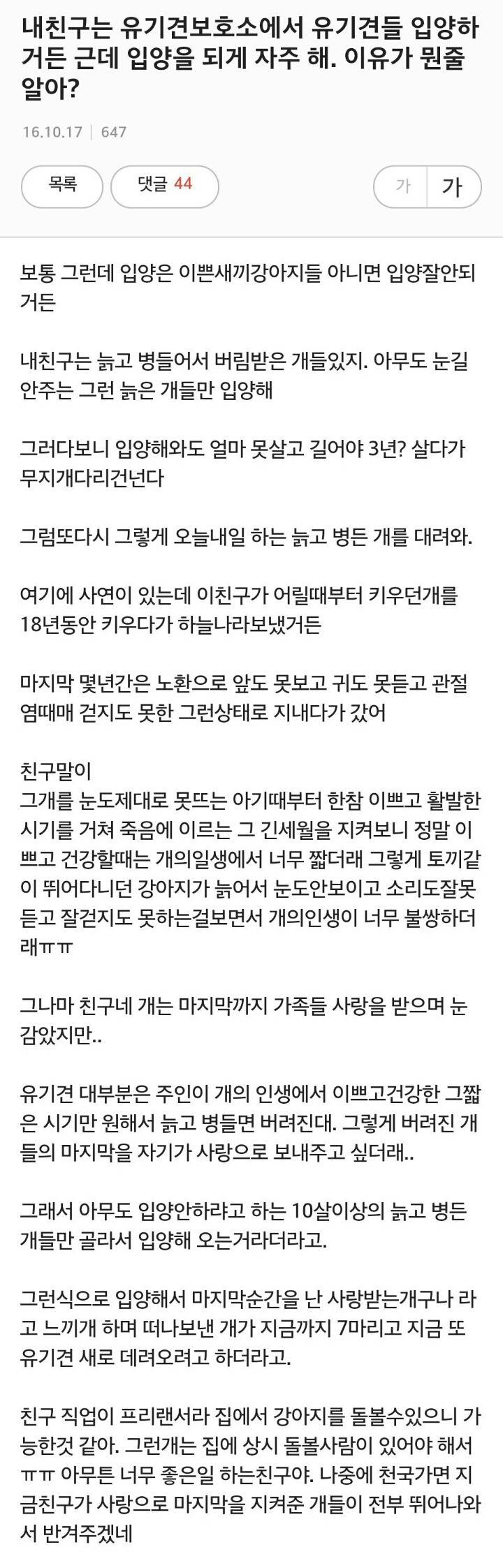 늙은 유기견만 입양하는 친구 | 인스티즈