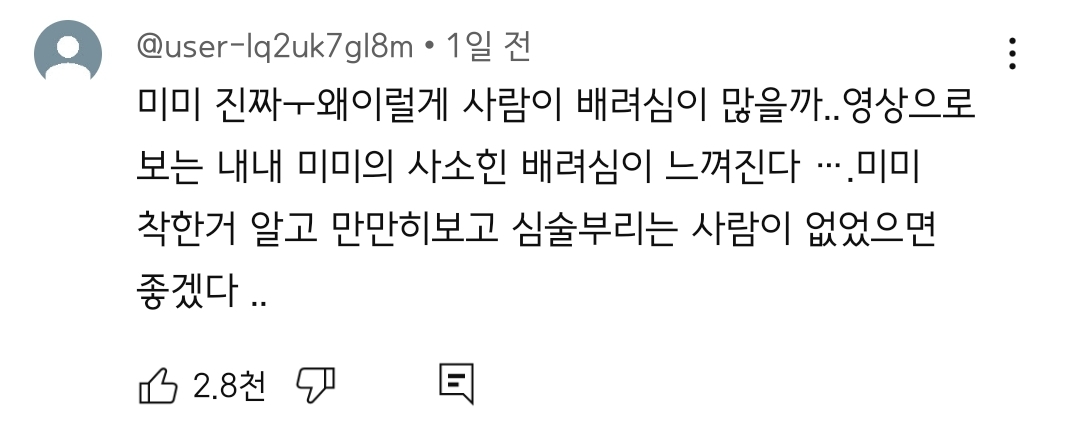 [지락이의뛰뛰빵빵] 이번주 공개한 3편 댓글에 미미 얘기 많은 이유 | 인스티즈