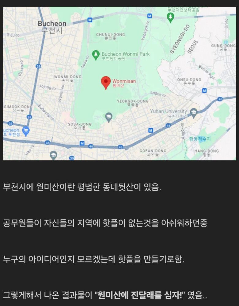 공무원들이 진심일 때 벌어지는 일 | 인스티즈