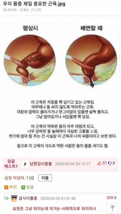 우리 몸에서 제일 중요한 근육 | 인스티즈