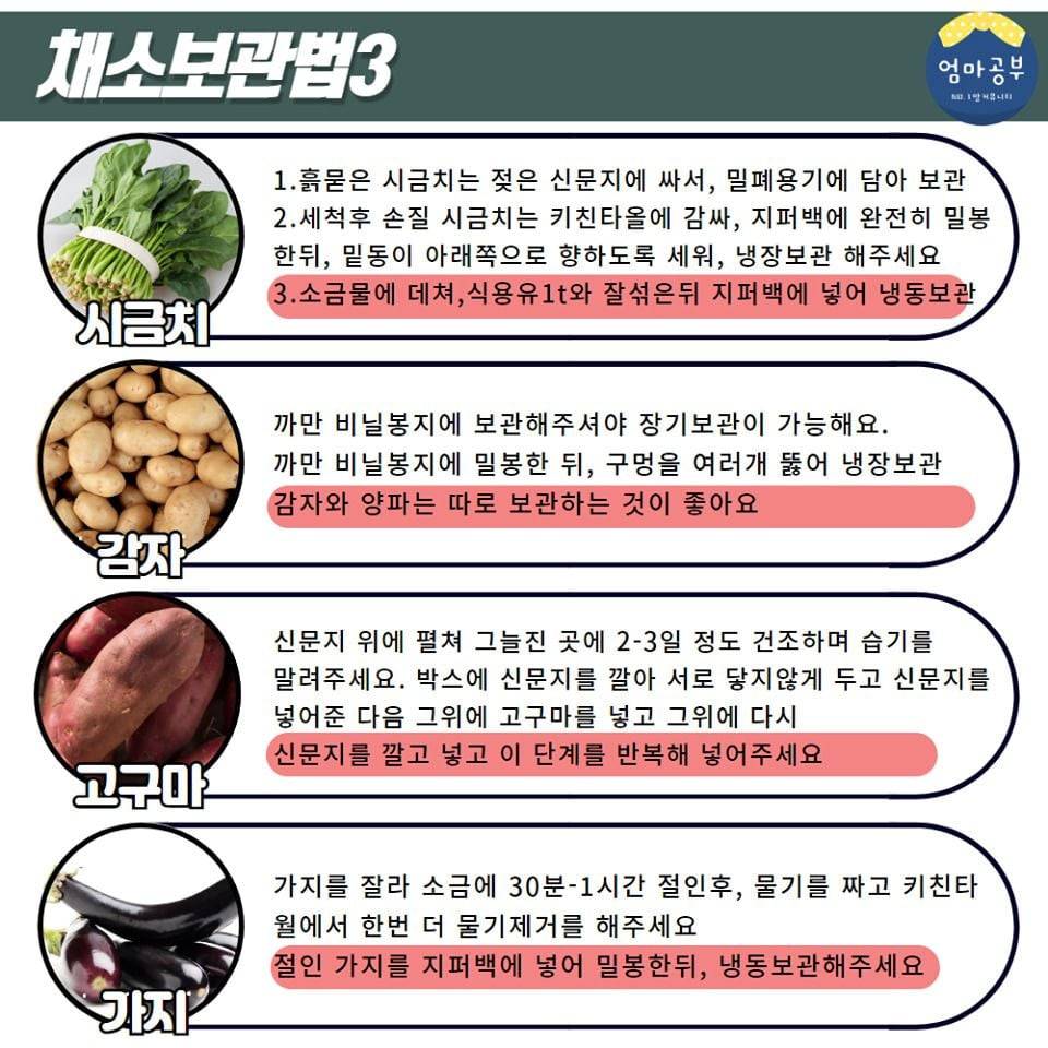 금방 상해버리는 채소 20종 오래 보관하는 법 | 인스티즈