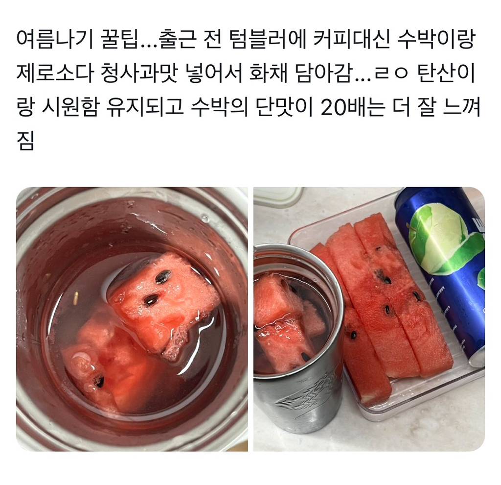 여름엔 텀블러에 커피 대신 화채 꿀팁 | 인스티즈