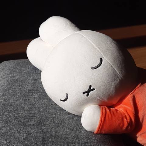 미피 재우는 할머님 | 인스티즈