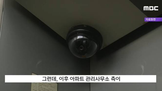 보배드림에 올라온 승강기녀 | 인스티즈