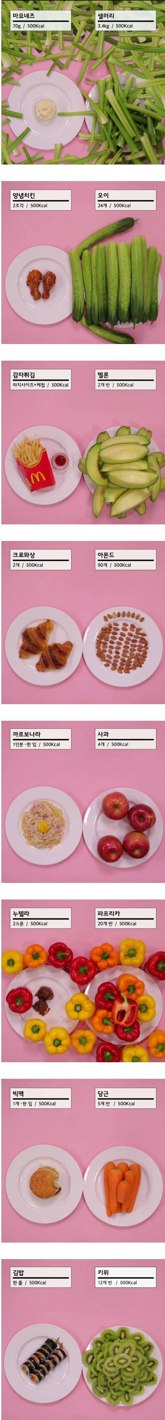 같은 500 칼로리 | 인스티즈