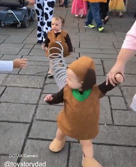 짱짱귀 댕댕이들 | 인스티즈