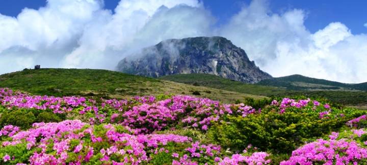 우리나라 최고 명산은? | 인스티즈