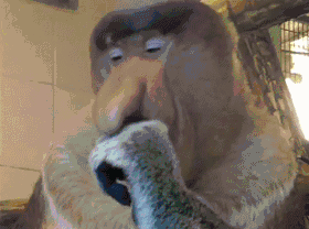 식당에서 밥먹다 이쁜여자가 나갈 때.gif | 인스티즈