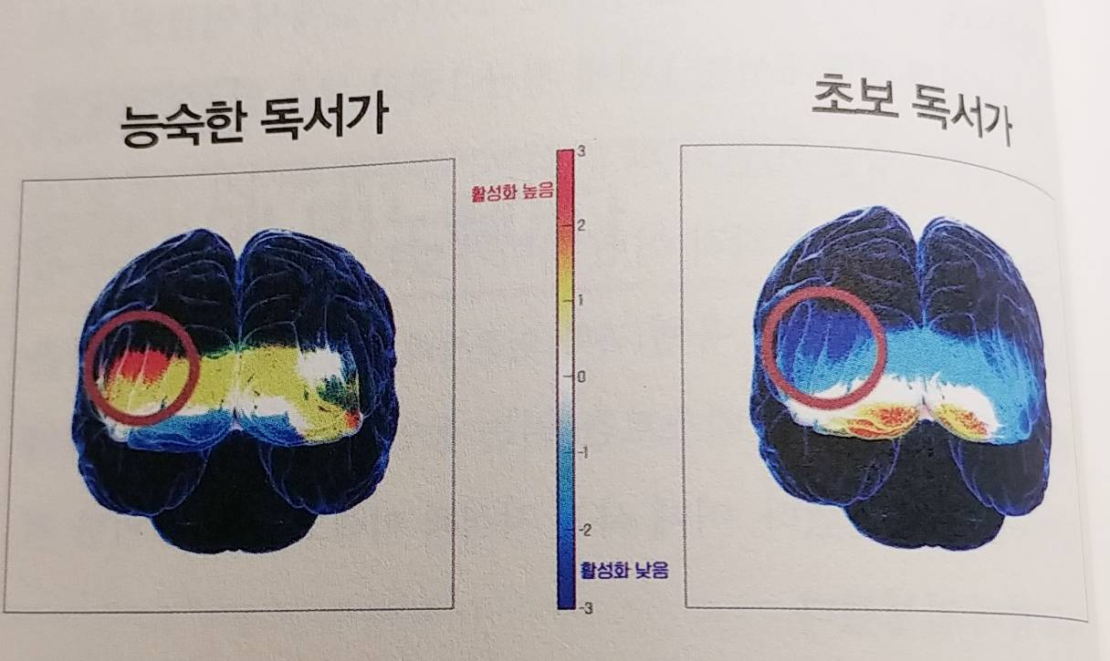 책 읽을 때 머리가 잘 안돌아가는 느낌의 정체.twt | 인스티즈