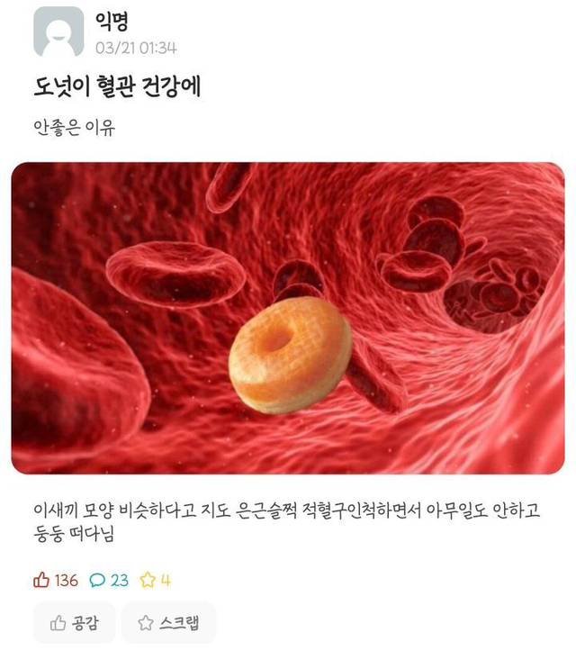 도넛 먹은 뒤 혈관 상황.jpg | 인스티즈