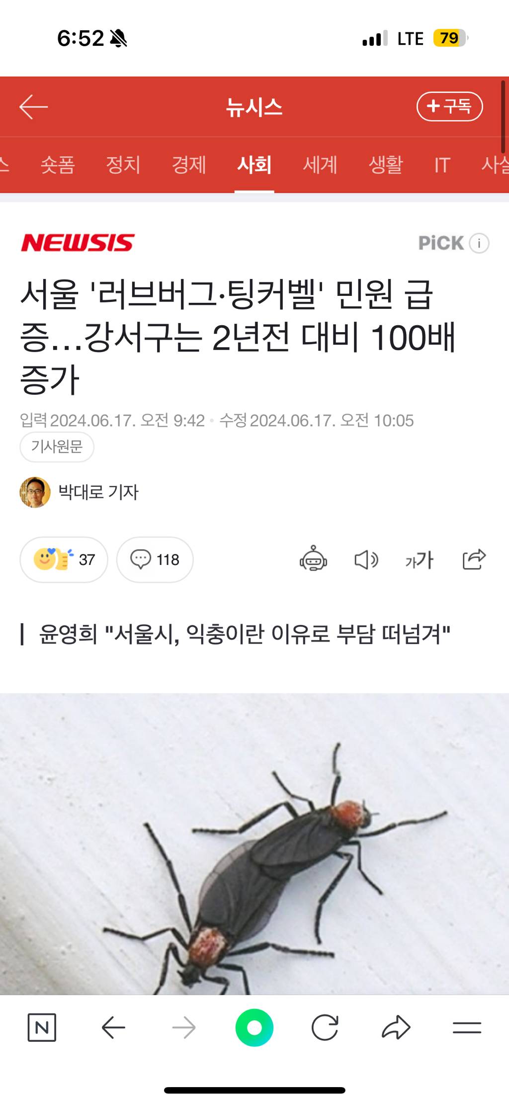 서울 '러브버그·팅커벨' 민원 급증…강서구는 2년전 대비 100배 증가 | 인스티즈