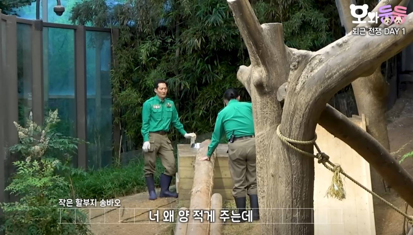 후이바오한텐 루이보다 분유양 적게준다는 송바오 ㅋㅋㅋ | 인스티즈