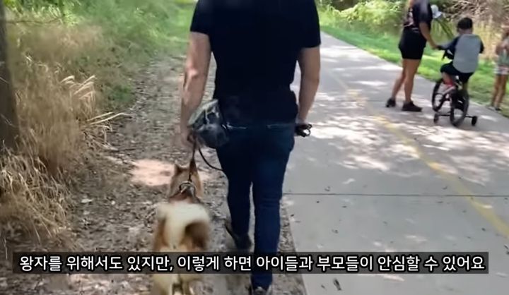 미국에서 강아지 산책 시키다 어느 한국인이 욕 먹은 이유 | 인스티즈