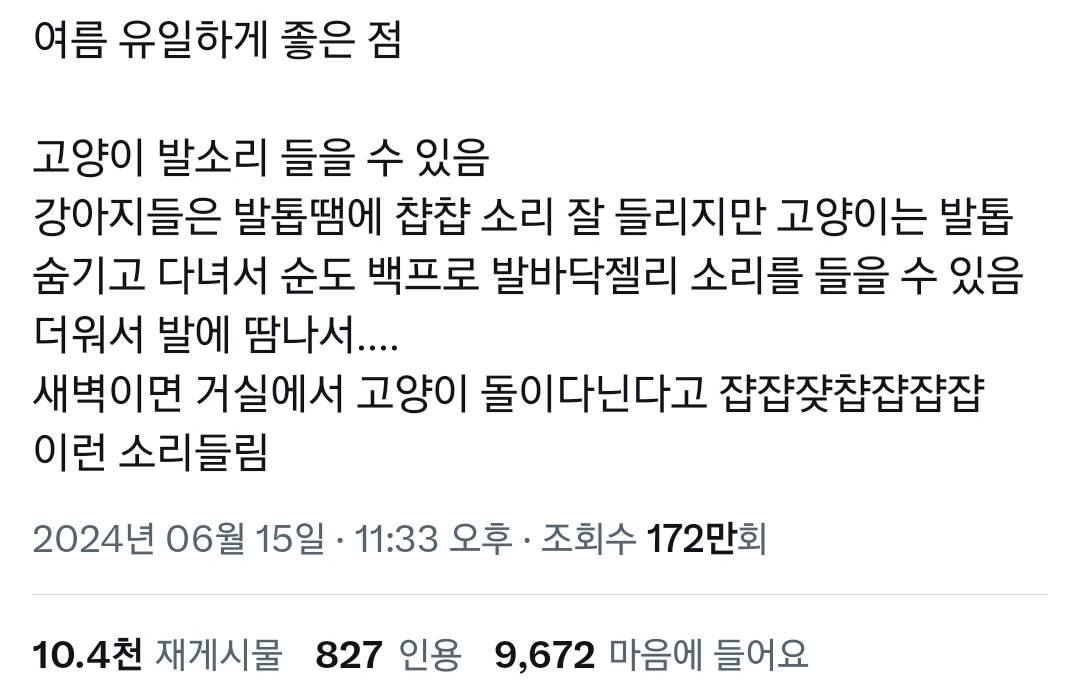 여름 유일하게 좋은 점 고양이 발소리 들을 수 있음.twt | 인스티즈