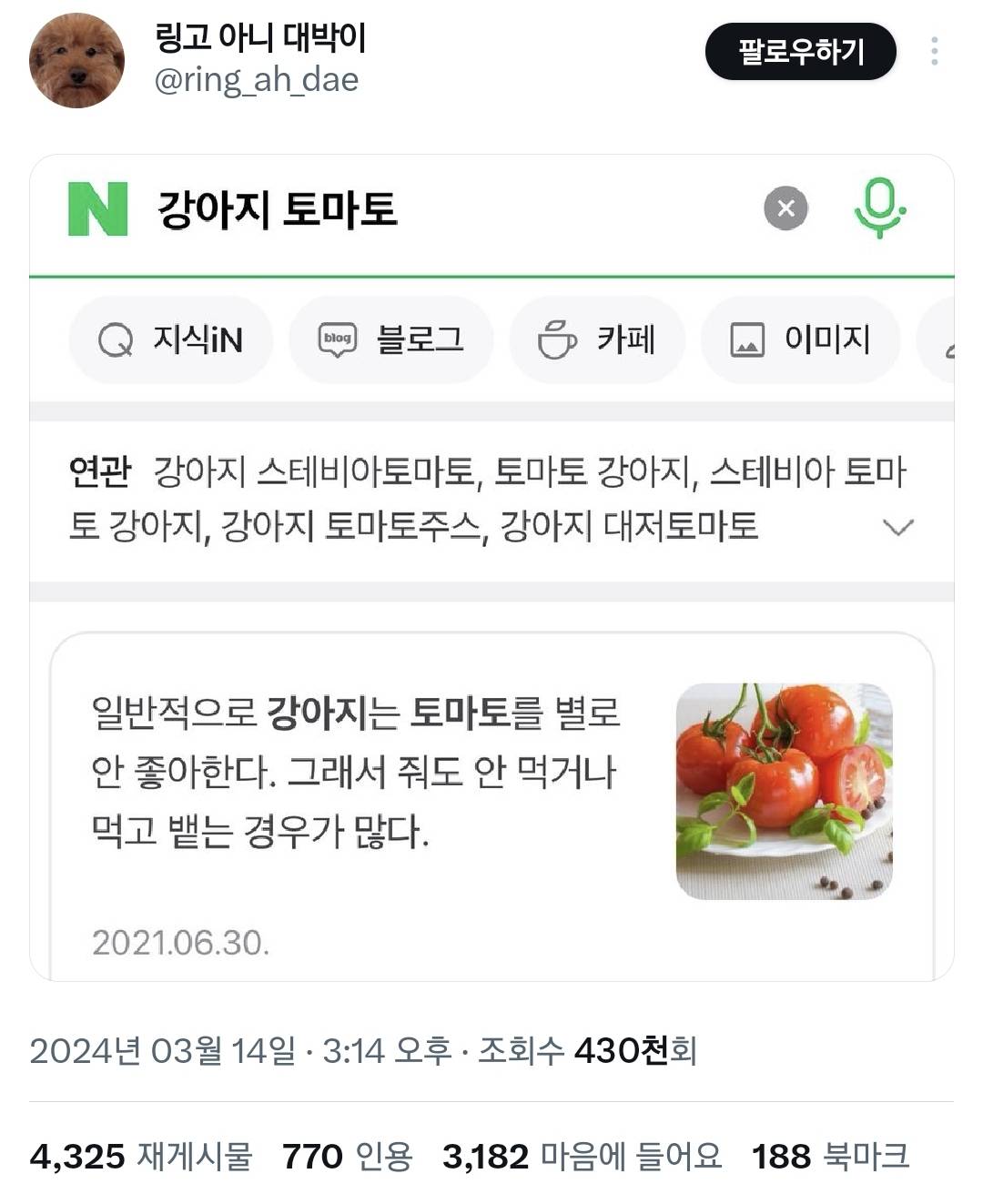 헐 강아지한테 토마토 주면 안 되는 이유..twt | 인스티즈
