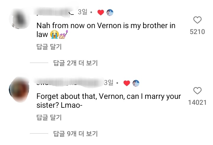 세븐틴 버논 여동생: 자꾸 제 오빠랑 결혼하고싶다고 하시는데... | 인스티즈