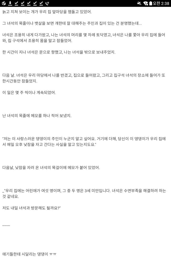 모르는 개가 자꾸 우리집에서 자고 간다 | 인스티즈