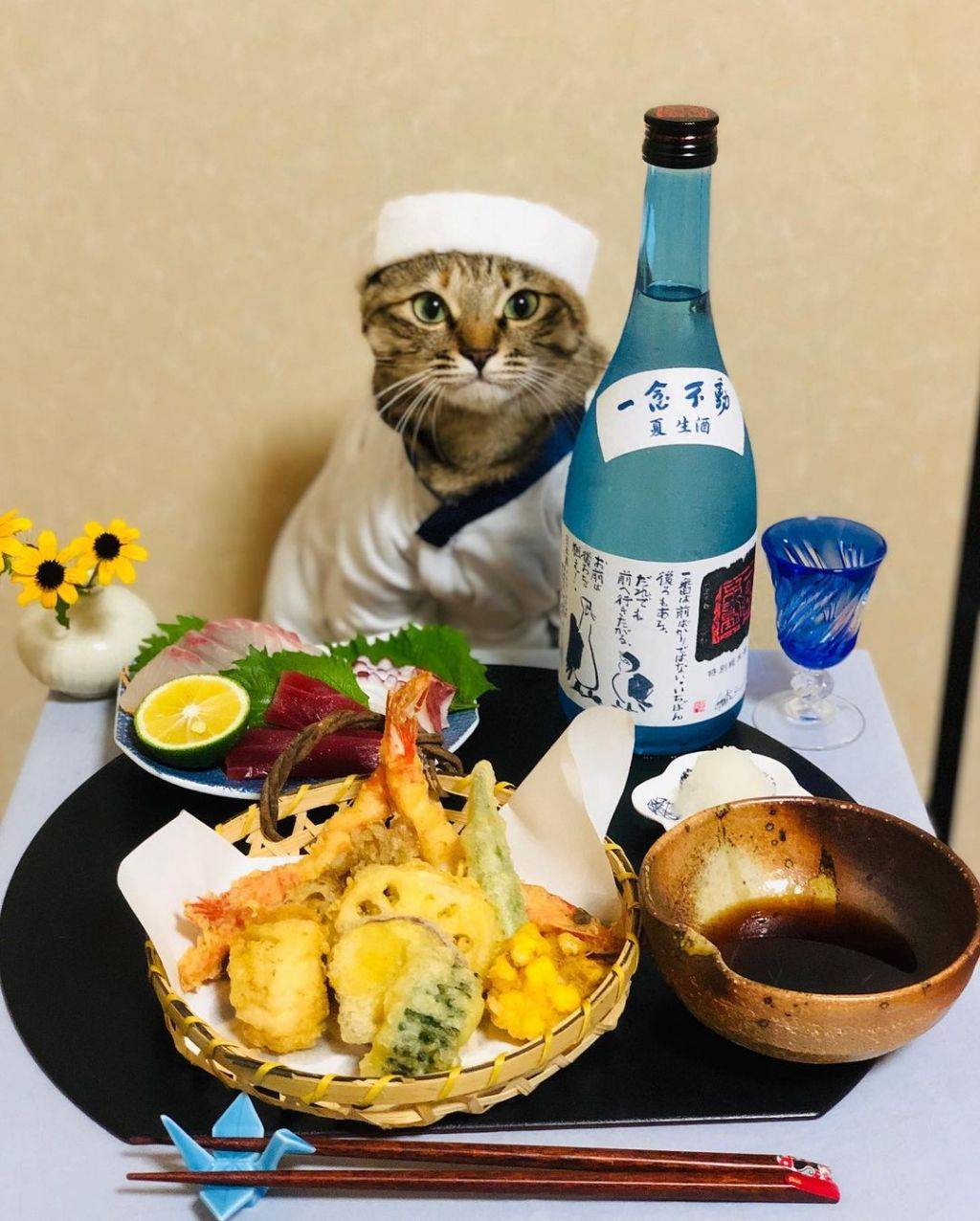 🐱어서오세요 저녁에도 운영하는 갈치 식당 입니다~ | 인스티즈