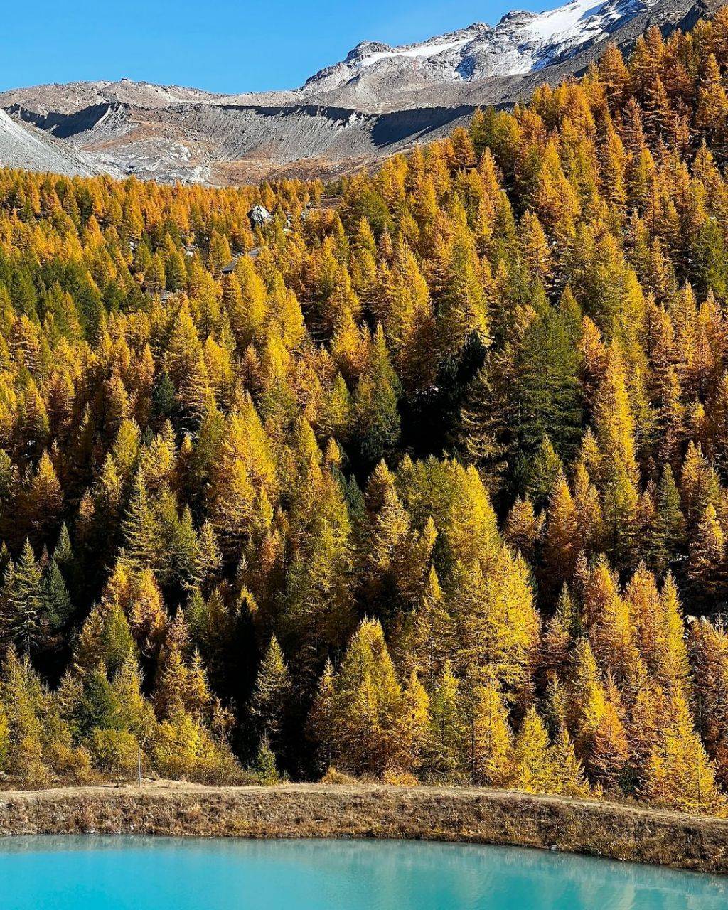 스위스 체르마트의 선물같은 가을 풍경.jpg | 인스티즈