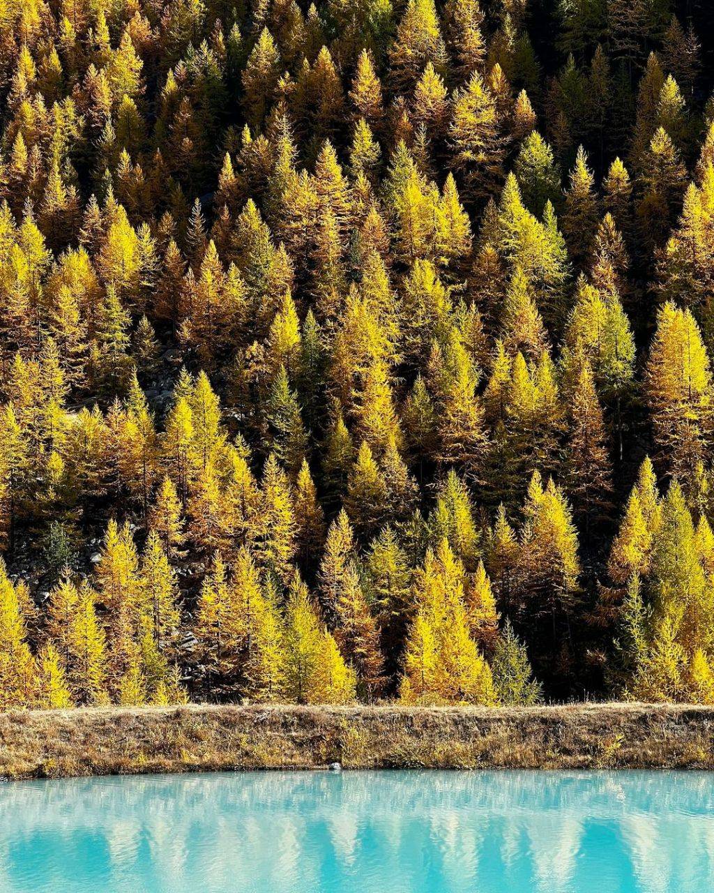 스위스 체르마트의 선물같은 가을 풍경.jpg | 인스티즈