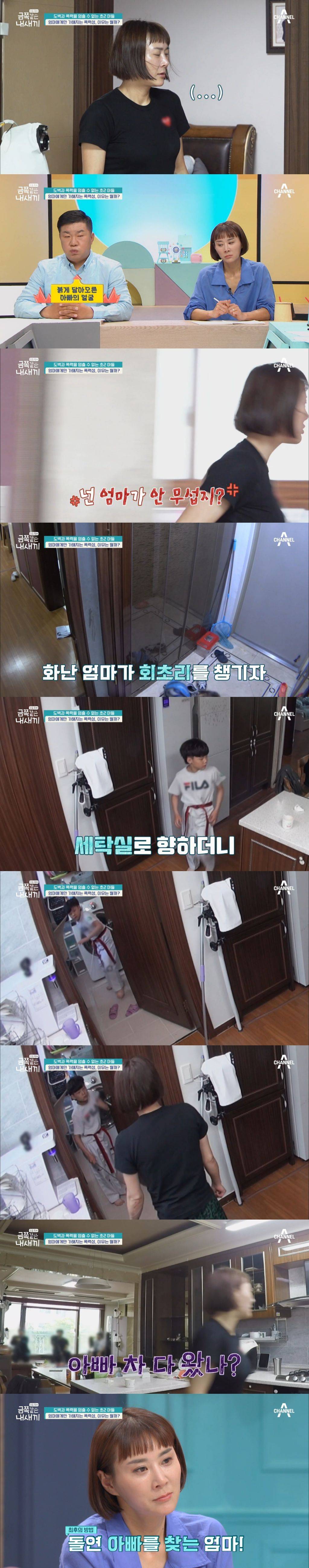 도벽과 폭력을 멈출 수 없는 초2 아들 금쪽이 | 인스티즈