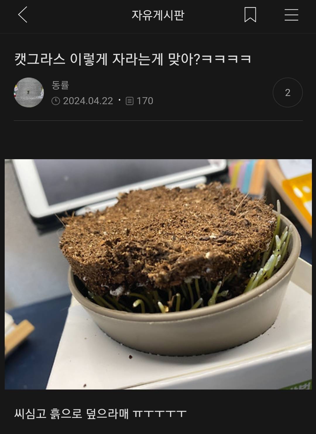 약간 뇌 빠진걸 좋아하는 사람의 여캡 | 인스티즈