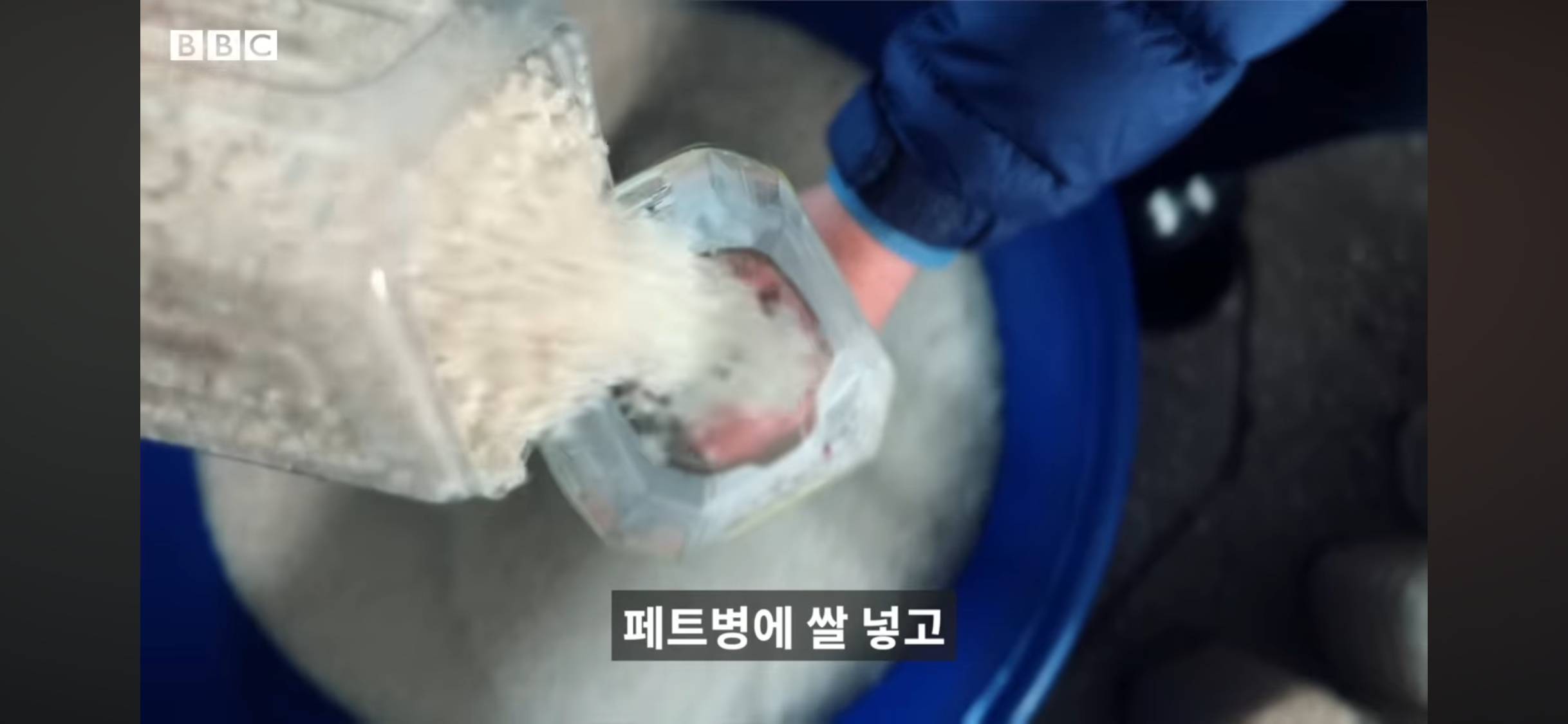 쌀이 든 페트병을 북한으로 보내는 사람들 | 인스티즈