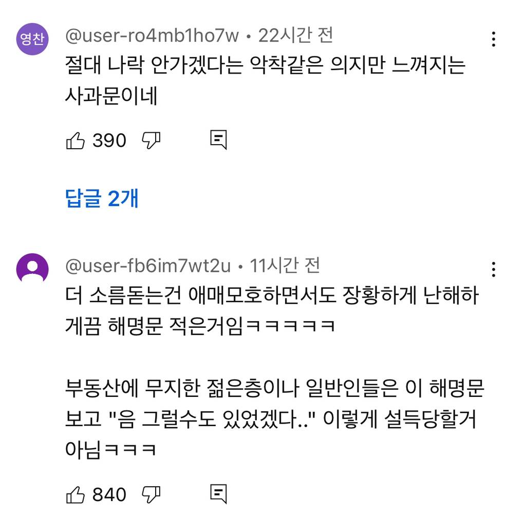 유튜브에서 6천플 찍은 달씨 해명문 (전세사기 폭탄돌리기 논란) | 인스티즈