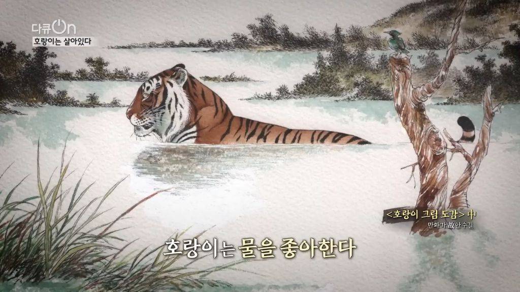 '절멸'의 '한국 호랑이'. 🐅 그 100년간의 이야기. -마지막- | 인스티즈