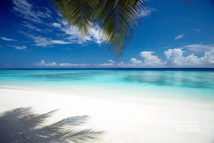몰디브가 지상 최고의 파라다이스라 불리는 이유 .jpg | 인스티즈