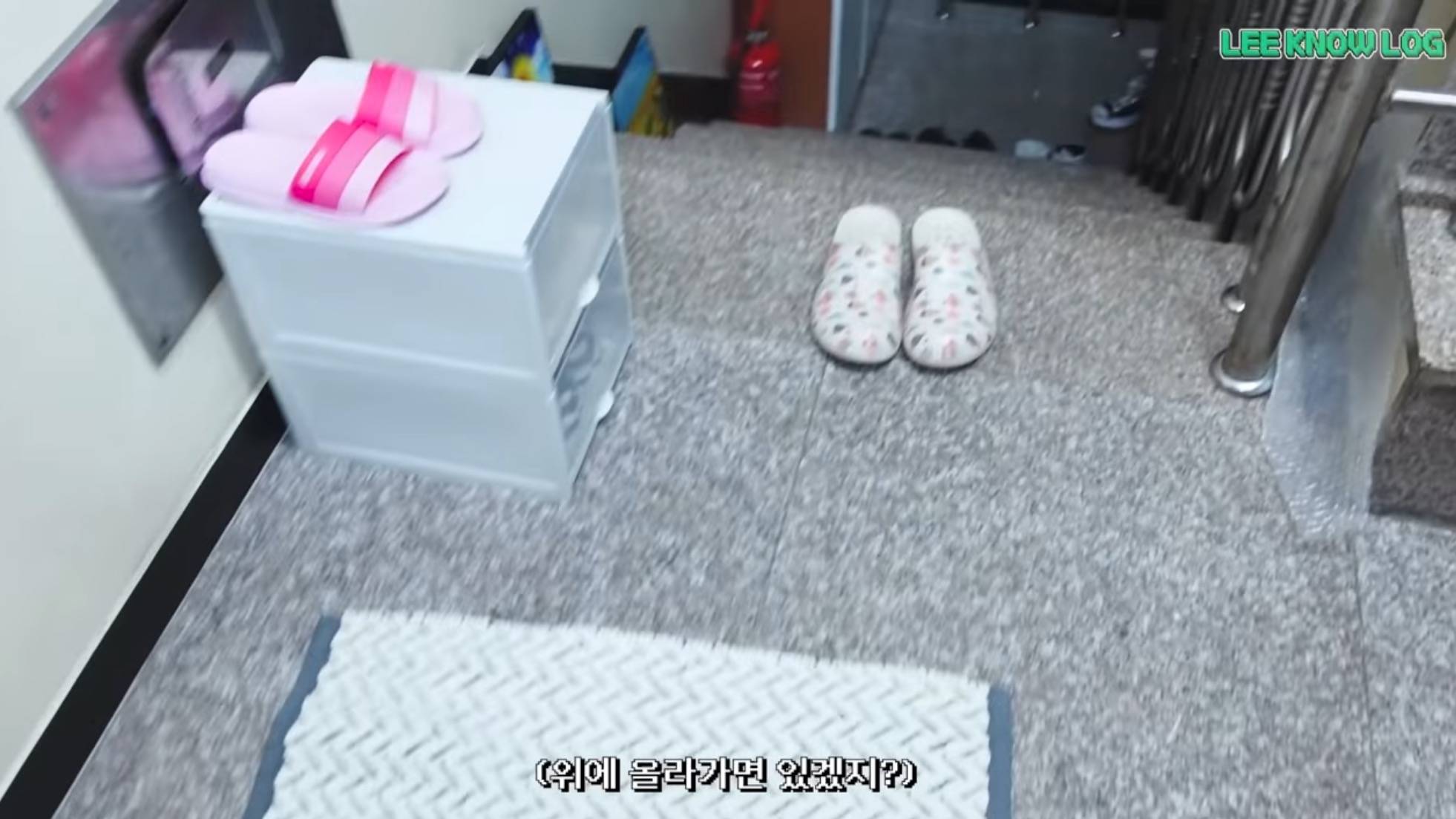거대한 캣타워 그 자체인 스키즈 리노네 특이한 집구조.jpg | 인스티즈