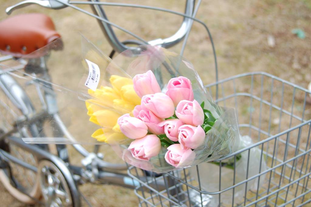 반년동안 모은 자전거 바구니 사진 🚲✨🌿 | 인스티즈