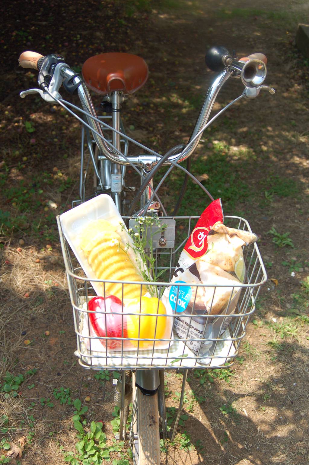 반년동안 모은 자전거 바구니 사진 🚲✨🌿 | 인스티즈