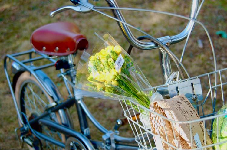 반년동안 모은 자전거 바구니 사진 🚲✨🌿 | 인스티즈